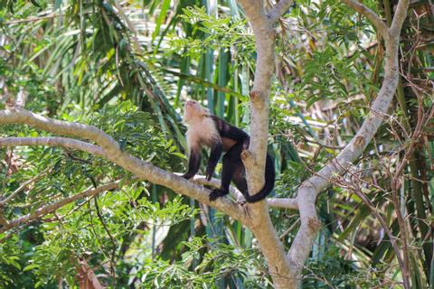 Palo Verde Boat Expedition & Cultural Tour Costa Rica